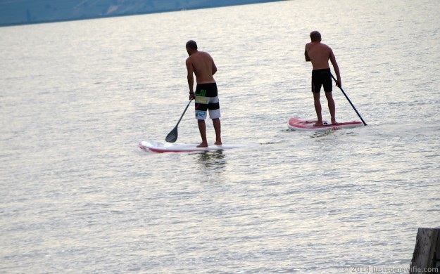 paddlers enjoying the water