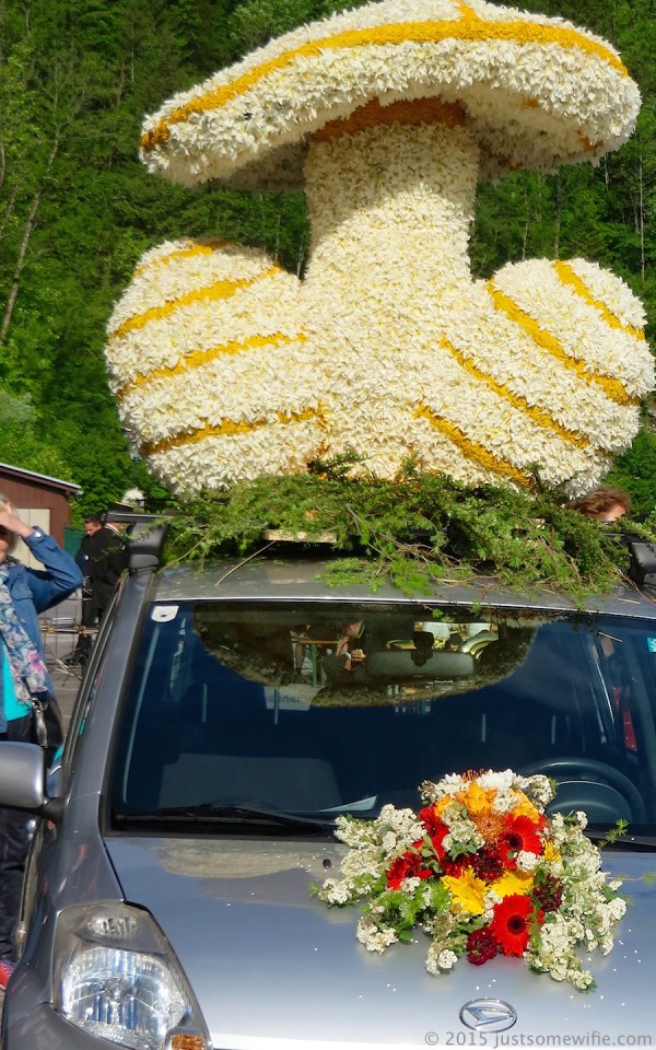 narcissus poeticus mushroom