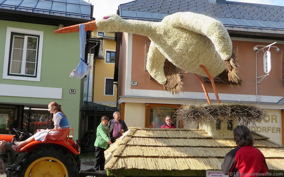 narcissus poeticus stork