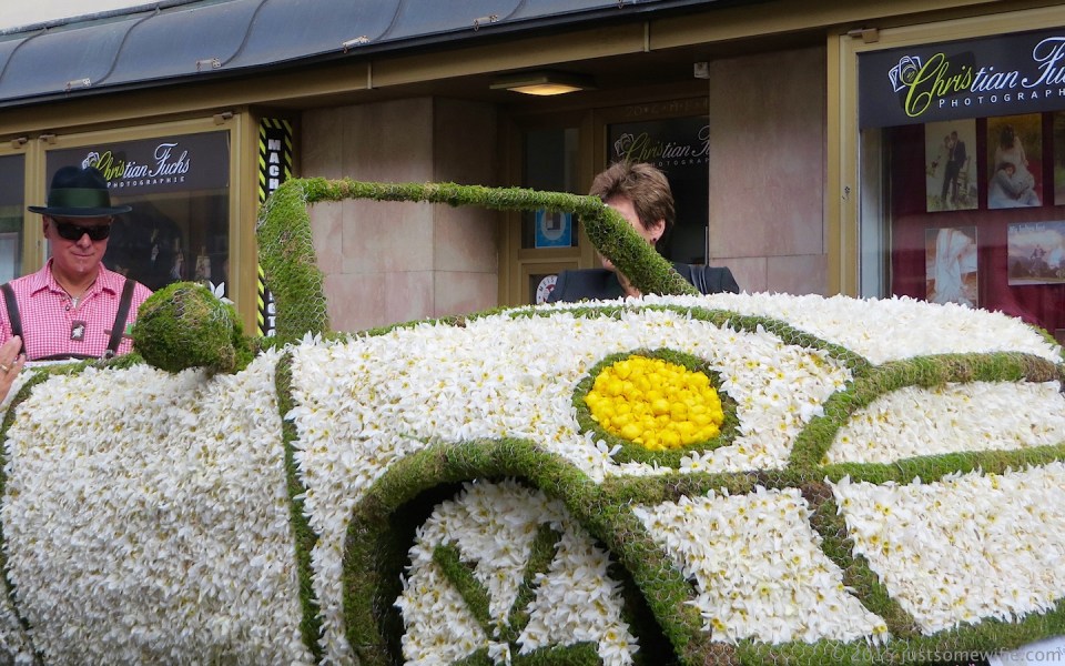 narcissus poeticus mini cabriolet