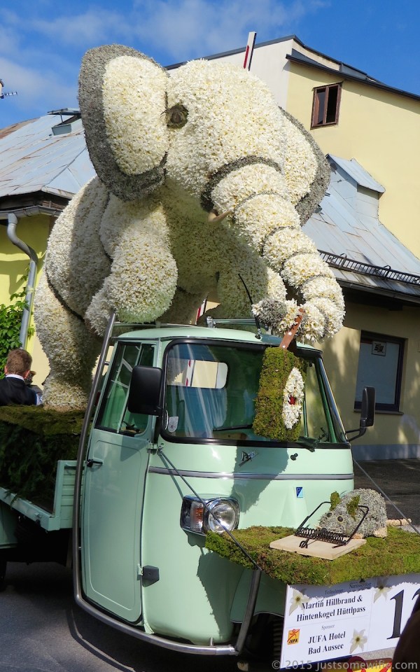 narcissus poeticus elephant and mouse